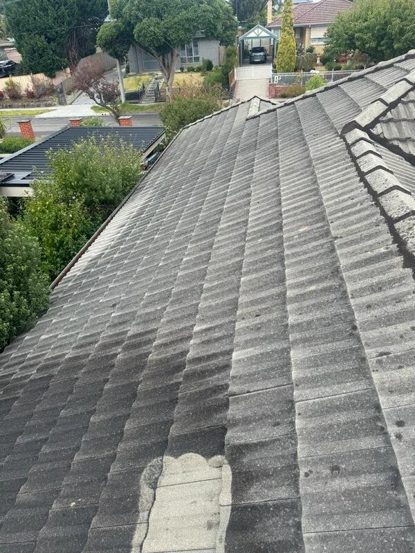 Tiled roof photo from Elite Roof Restorations current website gallery